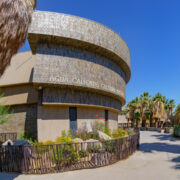 Logo for Agua Caliente Cultural Museum Logo for Agua Caliente Cultural Museum