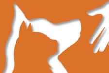 Photo of Animal Samaritans SPCA Inc. Photo of Animal Samaritans SPCA Inc.