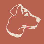 Logo for Boozehounds Palm Springs Logo for Boozehounds Palm Springs