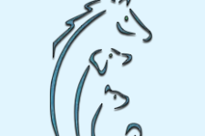 Photo of Carter Animal Hospital Photo of Carter Animal Hospital