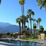 Logo for Desert Isle of Palm Springs Logo for Desert Isle of Palm Springs