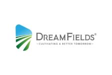 Photo of Dreamfields Photo of Dreamfields