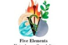 Photo of Five Elements Veterinary Specialty Photo of Five Elements Veterinary Specialty