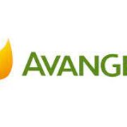 Logo for Avangrid Logo for Avangrid