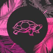 Logo for Infusion Beach & Hotel Logo for Infusion Beach & Hotel