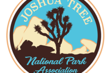 Photo of Joshua Tree National Park Association Photo of Joshua Tree National Park Association