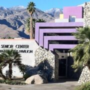 Logo for Mizell Senior Center Logo for Mizell Senior Center