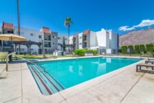 Photo of Modern Cactus Photo of Modern Cactus