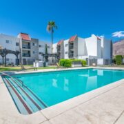 Logo for Modern Cactus Logo for Modern Cactus