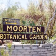 Logo for Moorten Botanical Garden Logo for Moorten Botanical Garden