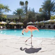 Logo for Parker Palm Springs Logo for Parker Palm Springs