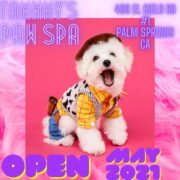 Logo for Tammys Paw Spa Logo for Tammys Paw Spa