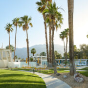 Logo for The Monkey Tree Hotel Logo for The Monkey Tree Hotel