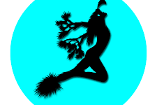 Photo of Yucca Brevifolia Magazine Photo of Yucca Brevifolia Magazine